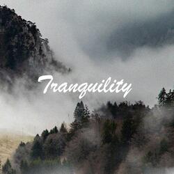 Tranquility (feat. Lannen.)