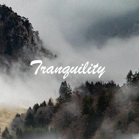 Tranquility (feat. Lannen.)