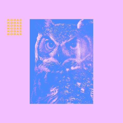 Awake With Crystal Eyes