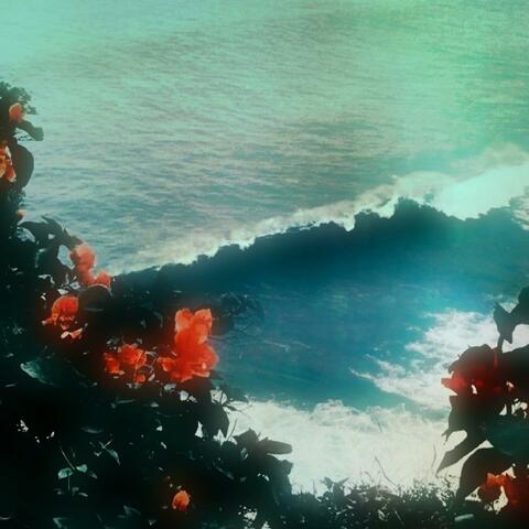 It Was on the Beach Full of Narcissists Where You Found the Deaf Sea Shell by the Sea Shore