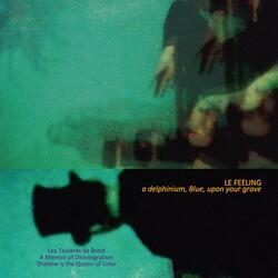 A Memoir of Disintegration