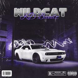 Wildcat