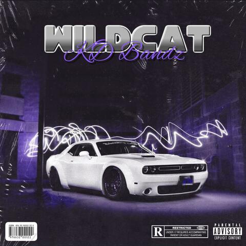 Wildcat