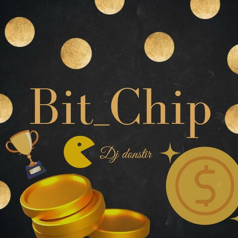 Bit Chip