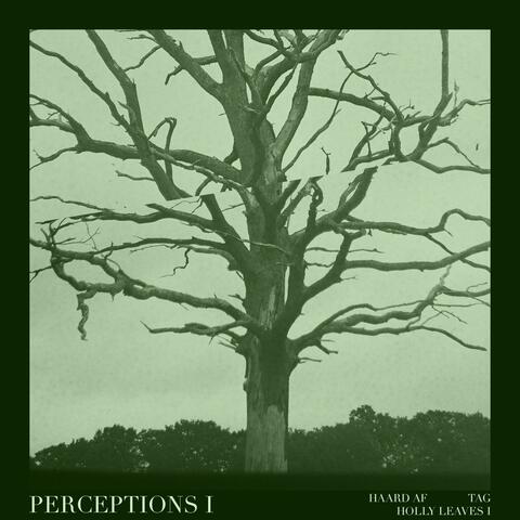 Perceptions I
