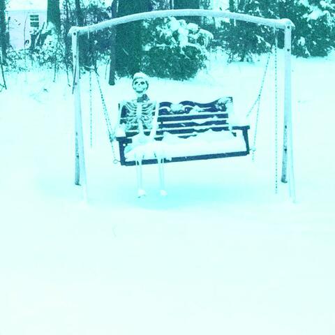 Mr. Snowbones