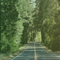 Quiet Own Way