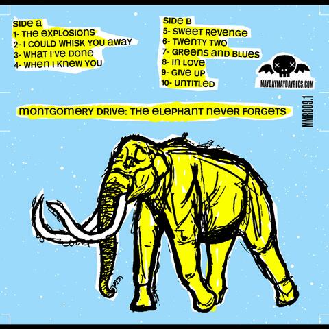The Elephant Never Forgets (2004-2008)