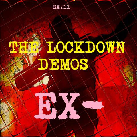 Ex-11 the Lockdown Demos