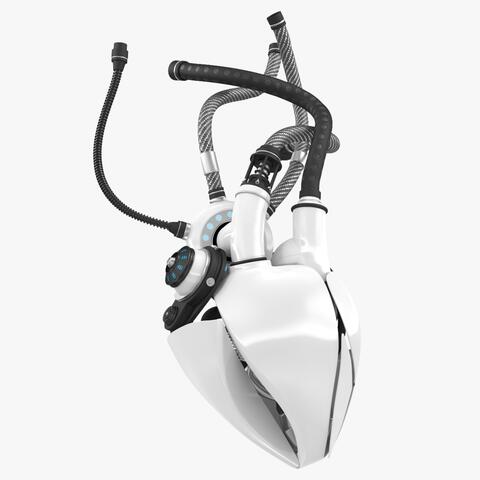 Robot Heart
