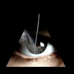 everything can be home