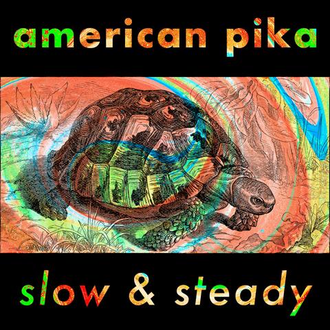 Slow & Steady