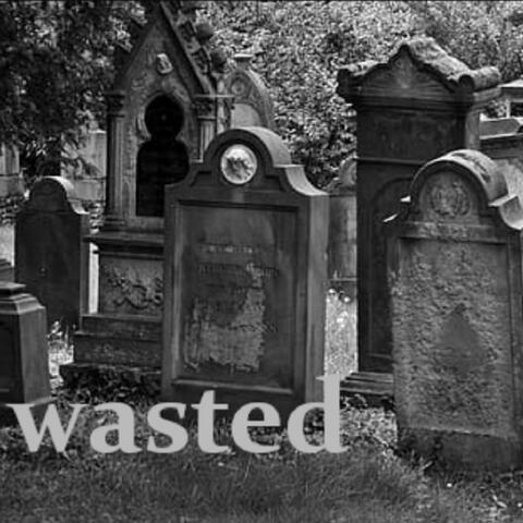 Wasted