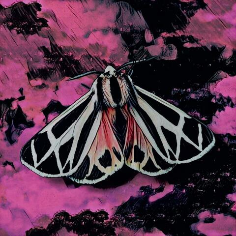 Wingbeat