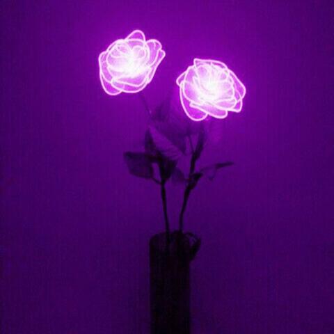 Remember to forget me