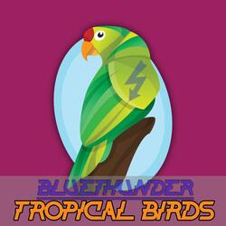 Tropical Birds