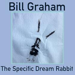 The Specific Dream Rabbit