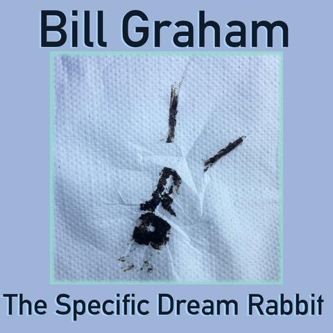 The Specific Dream Rabbit