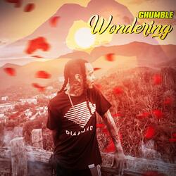 Wondering