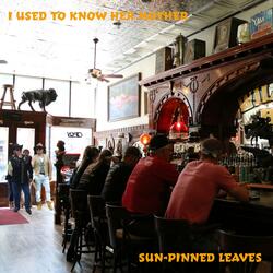 I Used To Know Her Mother