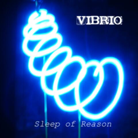 Sleep of Reason