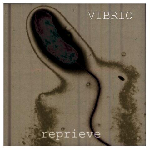 Reprieve