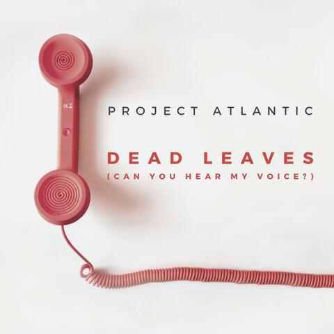 Dead Leaves (Can You Hear My Voice?)