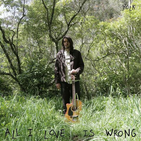 All I Love Is Wrong