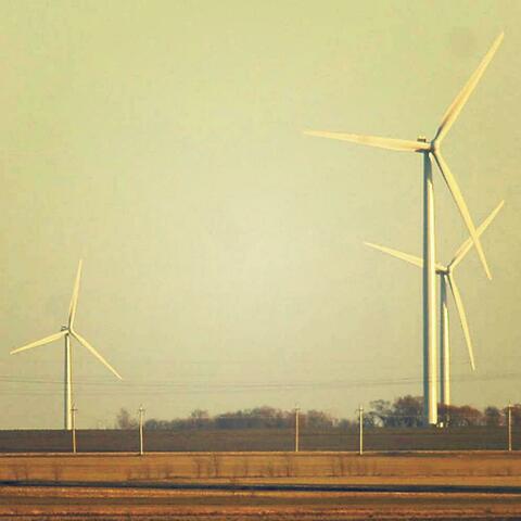 Stray Feathers from the Wind Farm