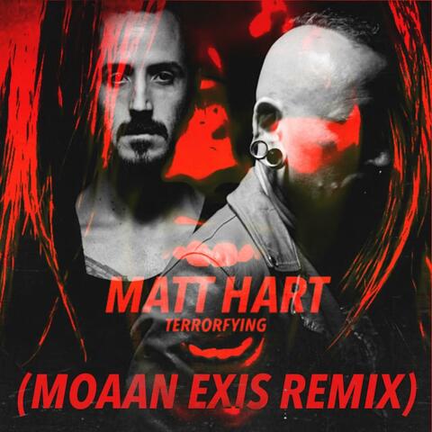 TERRORFYING (MOAAN EXIS Remix)