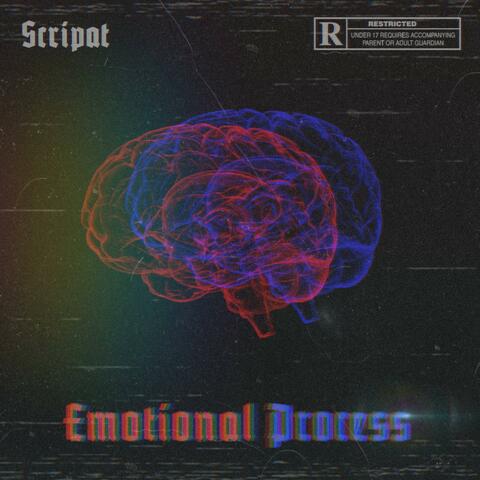 Emotional Process