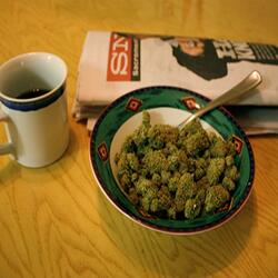Wake And Bake