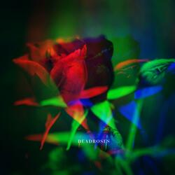 DeadRoses