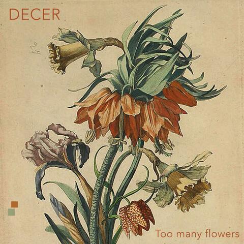 Too many flowers (feat. Amalia Martínez)