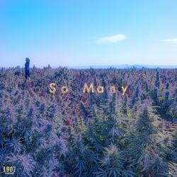 So Many