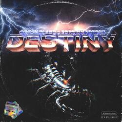 Destiny (feat. Foreign Forest)