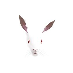 White Rabbit