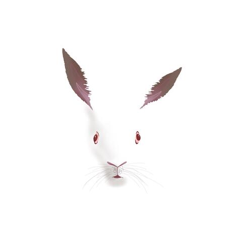 White Rabbit