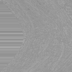 intro (my heart is in space now)