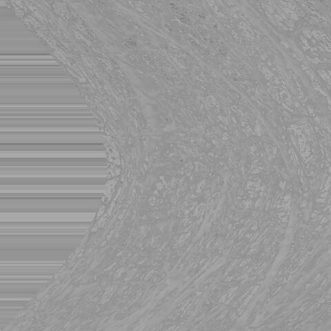 chrome world