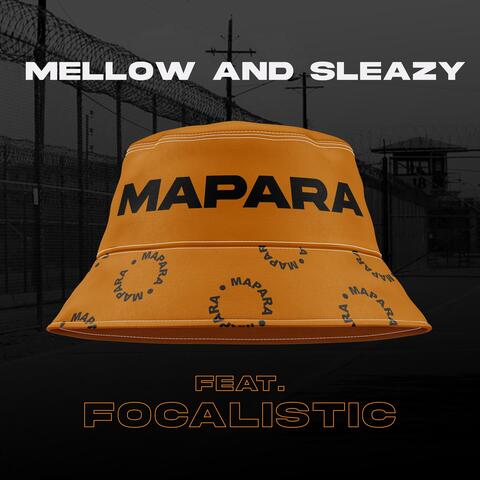 Mapara (feat. Focalistic)