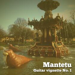 Guitar vignette No. 1