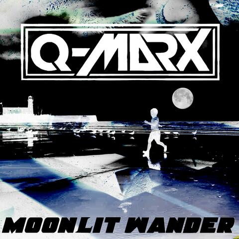 Moonlit Wander