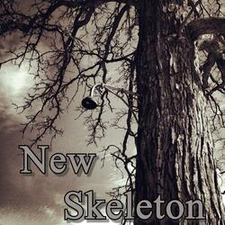 New Skeleton
