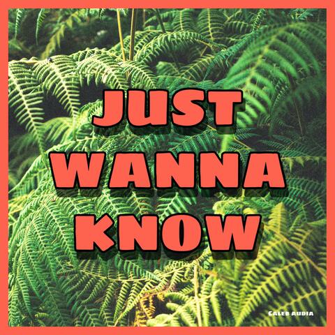 Just Wanna Know