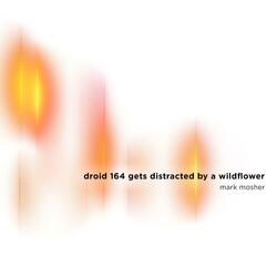 Droid 164 Gets Distracted by a Wildflower
