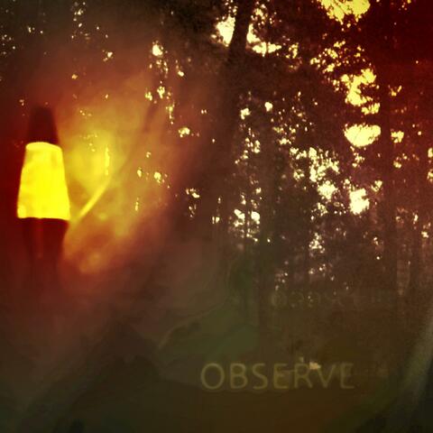 Observe