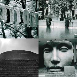 I Dream In Black & White