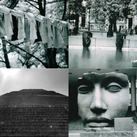 I Dream In Black & White