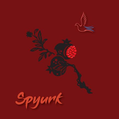 Spyurk